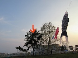 IMG_5847.jpg