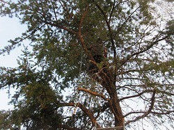 IMG_5849.jpg