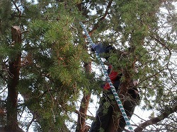 IMG_5851.jpg