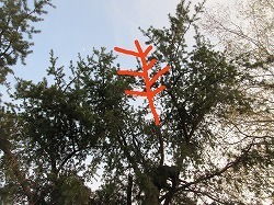 IMG_5852.jpg