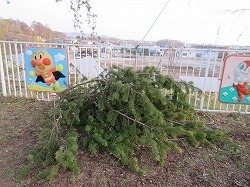 IMG_5853.jpg