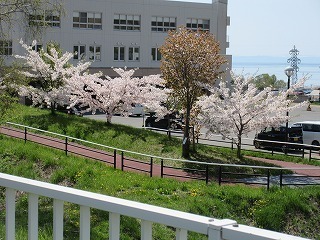 IMG_5909.jpg
