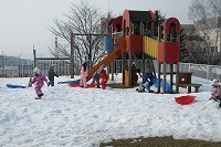IMG_6201.jpg