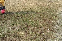IMG_6202.jpg