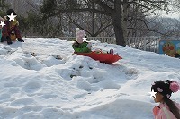 IMG_6206.jpg