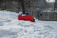 IMG_6207.jpg