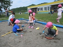 IMG_6223.jpg