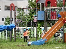 IMG_6253.jpg