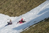 IMG_6278.jpg