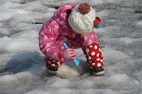 IMG_6287.jpg