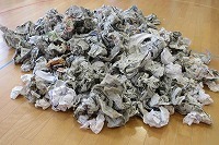 IMG_6333.jpg