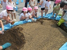 IMG_6499.jpg