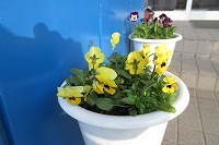 IMG_6996.jpg