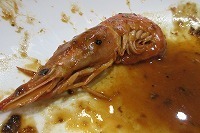 IMG_7333.jpg