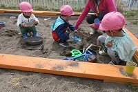 IMG_7540.jpg