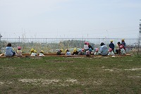 IMG_7565.jpg