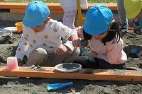 IMG_7864.jpg