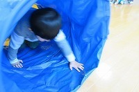 IMG_7900.jpg