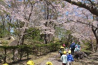 IMG_8053.jpg