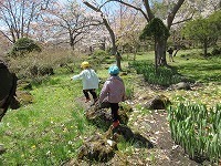 IMG_8078.jpg
