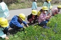 IMG_8106.jpg