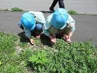 IMG_8109.jpg