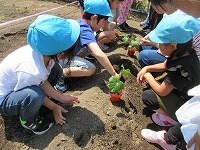 IMG_8530.jpg