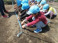 IMG_8532.jpg