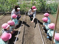 IMG_8570.jpg