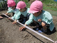 IMG_8573.jpg
