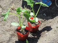 IMG_8575.jpg