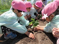 IMG_8577.jpg