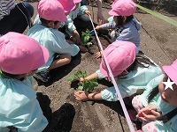 IMG_8578.jpg