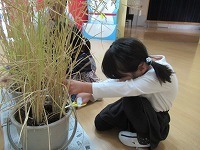 IMG_8592.jpg
