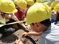 IMG_8593.jpg