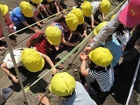 IMG_8595.jpg