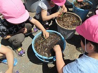 IMG_8755.jpg