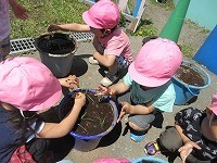 IMG_8759.jpg