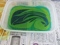 IMG_8766.jpg