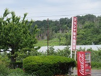 IMG_9104.jpg