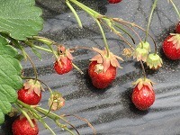 IMG_9118.jpg