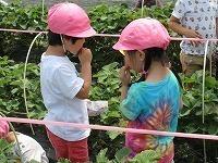 IMG_9121.jpg