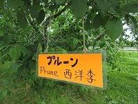 IMG_9146.jpg