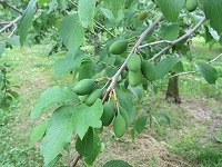 IMG_9148.jpg