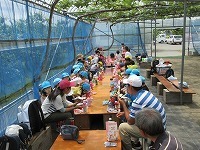IMG_9161.jpg
