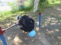 IMG_9249.jpg