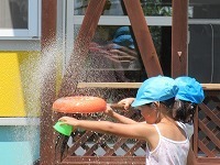 IMG_9251.jpg