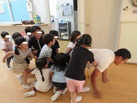 IMG_9295.jpg