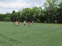 IMG_9484.jpg