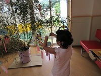 IMG_9485.jpg